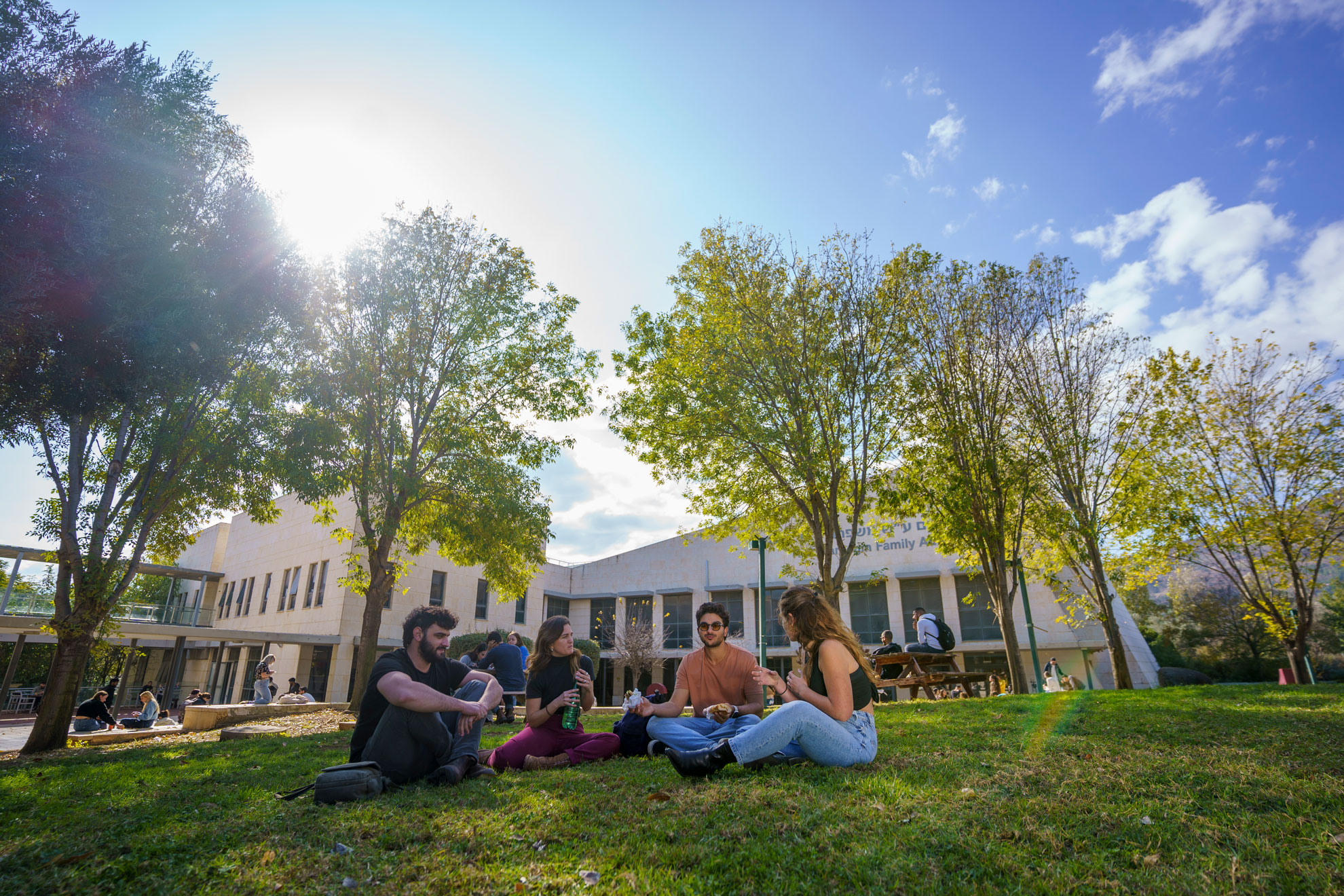 סטודנטים יושבים יחד על המדשאה בקמפוס