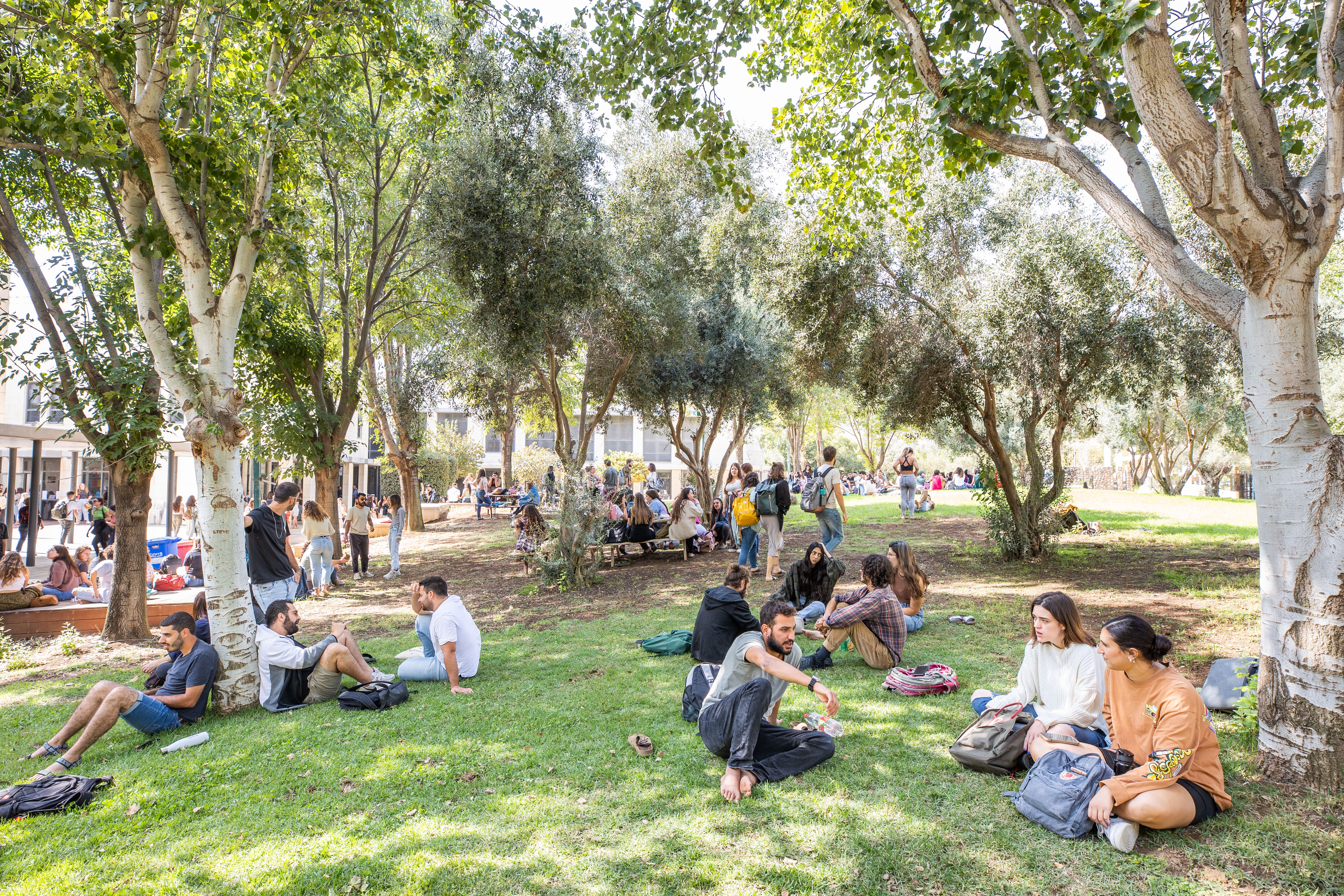 Students outside on campus