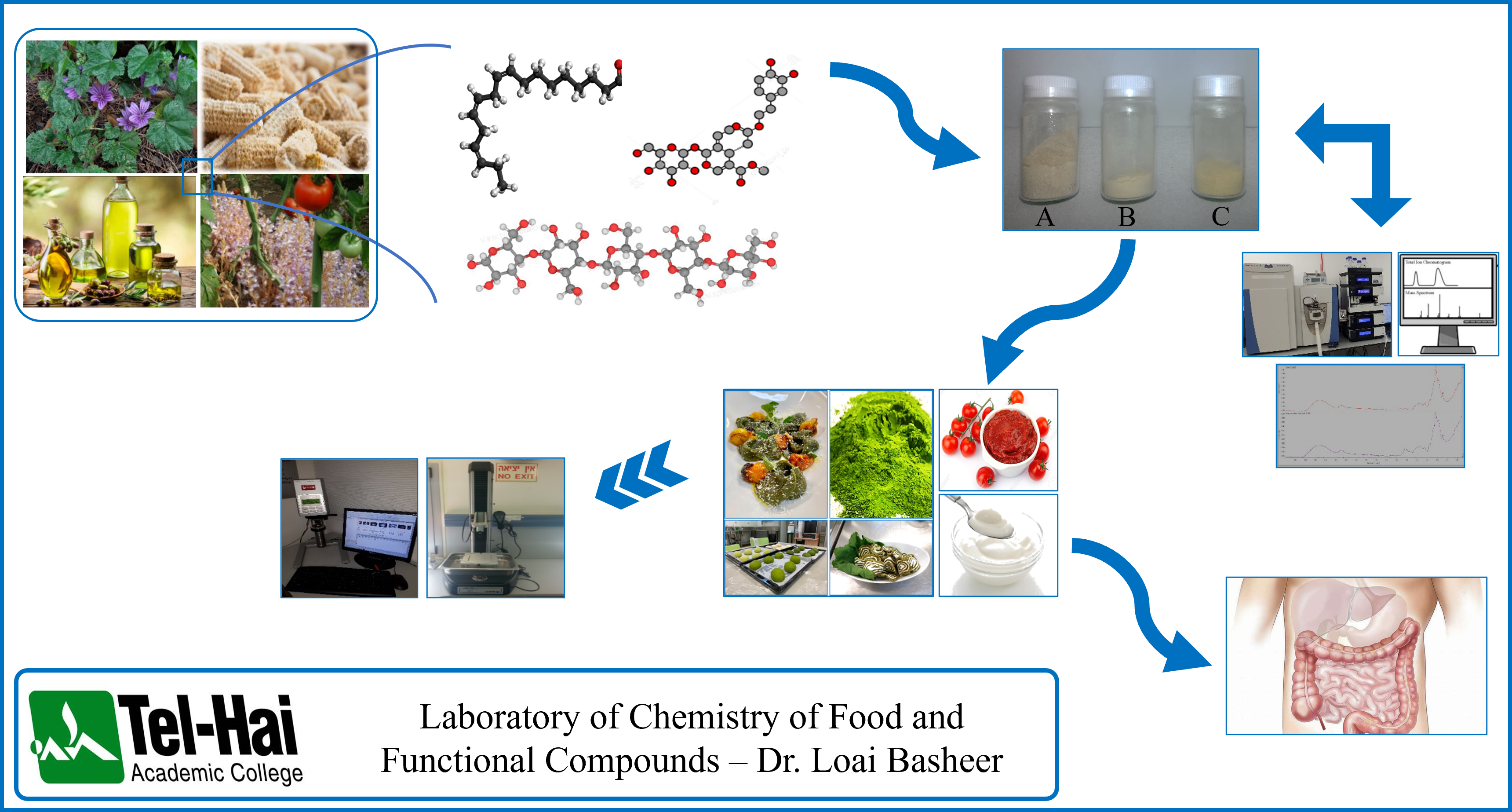 תמונה ראשית כימיה של מזון וחומרים פונקציונליים