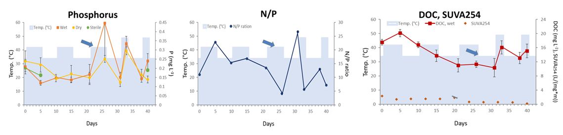 גרפים השפעת אירועי חום קיצוניים על תהליכים ביוגאוכימיים