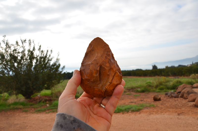 מעבדה לארכיאולוגיה יד מחזיקה אבן מלוטשת