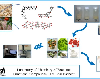 תמונה ראשית כימיה של מזון וחומרים פונקציונליים